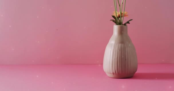 Animation Texte Printanier Des Étoiles Sur Bouquet Fleurs Concept Écologie — Video