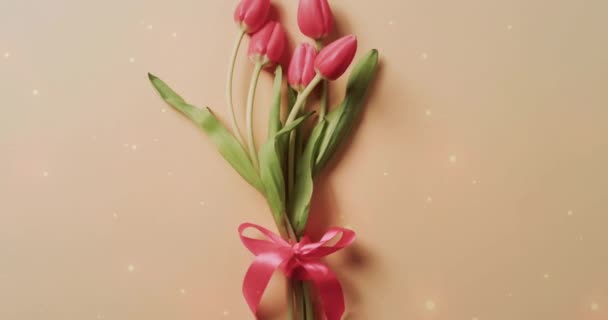 Animazione Testo Congratulazioni Stelle Sopra Mazzo Tulipani Celebrazione Concetto Natura — Video Stock