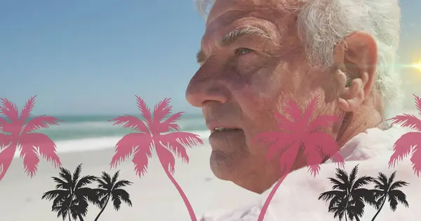 Kuva Palmuja Yli Valkoihoisten Vanhusten Rannalla Kansainvälinen Ikääntyneiden Päivä Käsite — kuvapankkivalokuva