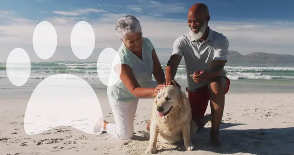 Image of dogs paw over african american couple with dog. International day of older persons concept digitally generated image.