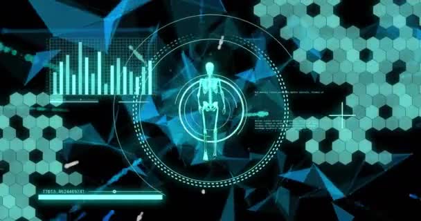 Animación Diagramas Procesamiento Datos Sobre Esqueleto Caminante Tecnología Ciencia Interfaz — Vídeos de Stock