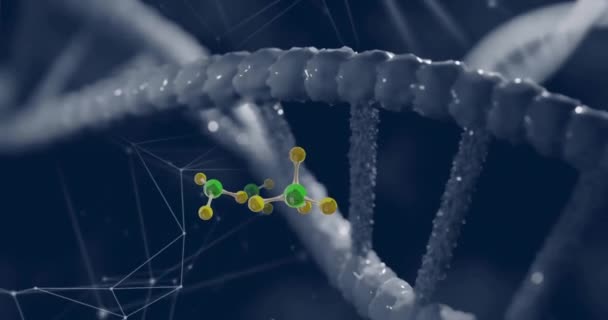 Dna鎖上の浮遊分子のアニメーション デジタルインターフェースのコンセプトデジタル生成ビデオ — ストック動画