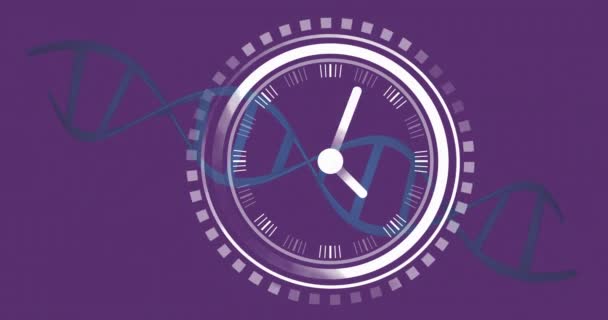 紫色の背景にDnaストランド上の時計のアニメーション グローバルサイエンス タイム デジタルインターフェースのコンセプトをデジタル生成したビデオ — ストック動画