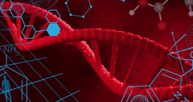 Kırmızı zemin üzerinde kimyasal formüller üzerinde dönen DNA görüntüsü. Bilim, insan biyolojisi ve teknoloji konsepti dijital olarak üretilen görüntü.