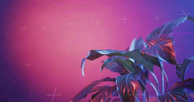 Neon arkaplan ile bitki üzerinde tarama ve veri işleme görüntüsü. Küresel dijital arayüz, veri işleme ve bağlantı konsepti dijital olarak oluşturulmuş resim.