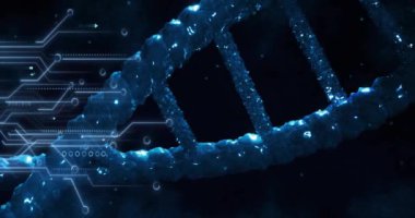 Dijital veri işleme animasyonu, DNA ipliğinin üzerindeki devre kartı. Küresel bilim, bağlantılar, hesaplama ve veri işleme kavramı dijital olarak oluşturulmuş video.