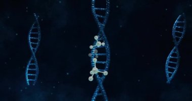 DNA ipliklerinin üzerinde yüzen moleküllerin animasyonu. Bilim, şekiller ve dijital arayüz konsepti dijital olarak oluşturulmuş video.