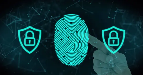 Image of online security padlocks and biometric fingerprint with neworks of connections. digital interface, identity and technology concept digitally generated image.