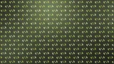 Yeşil arka planda hareket eden şekillerin animasyonu. Küresel teknoloji, şablon ve dijital arayüz kavramı dijital olarak oluşturuldu.