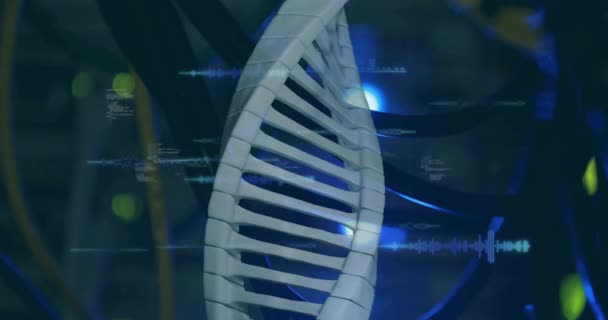 Анімація Ланцюга Dna Над Обробкою Даних Серверною Кімнатою Наука Технології — стокове відео