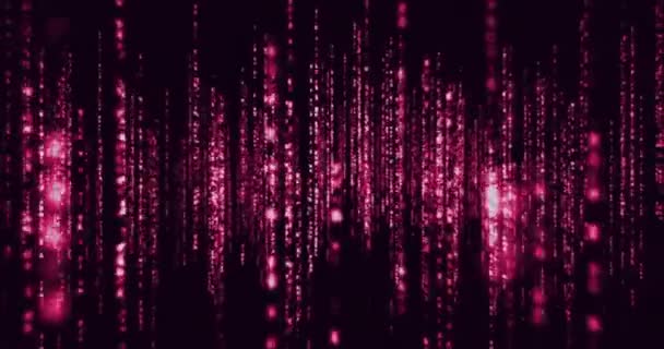 Animation Code Des Sentiers Lumineux Concept Mondial Cybersécurité Connexions Informatique — Video