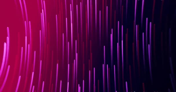 Animación Líneas Púrpuras Rojas Moviéndose Sobre Fondo Negro Formas Patrón — Vídeos de Stock