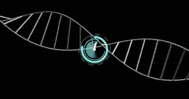 Siyah arka planda DNA ipliği üzerinde hareket eden bir saat resmi. Küresel bilim ve dijital arayüz kavramı dijital olarak oluşturulmuş görüntü.