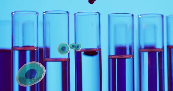 Image White Blood Cells Test Tubes Laboratory Blue Background Science — Stock Photo, Image