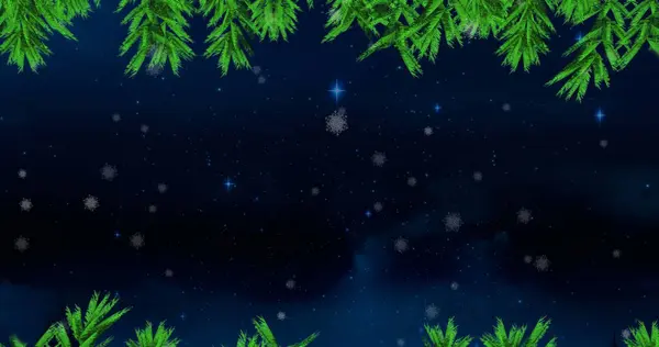 Ramos Árvores Verdes Neve Caindo Contra Estrelas Azuis Brilhantes Céu — Fotografia de Stock