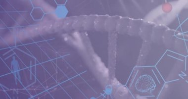 DNA 'nın animasyonu, medikal ikonlar ve elementler mor kanser kurdeleli beyaz bir kadının elleri üzerinde. Pankreas kanseri, sağlık, farkındalık, tıp ve iletişim, dijital olarak üretilen video.