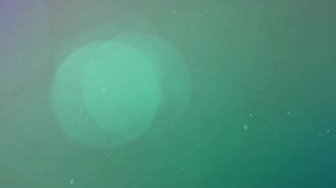 Yeşil arka planda hareket eden parlak ışık noktalarının canlandırması. Işık, renk ve hareket konsepti dijital olarak oluşturulmuş video.