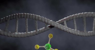 DNA ipliği üzerinde yüzen moleküllerin animasyonu. Bilim, şekiller ve dijital arayüz konsepti dijital olarak oluşturulmuş video.