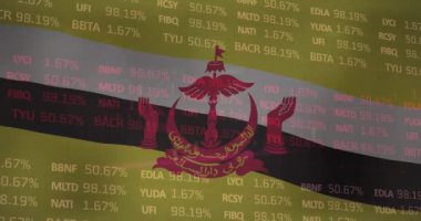 Finansal veri işleme üzerine brunei bayrağı animasyonu. Ulusal ekonomi, bağlantı, finans, dijital arayüz ve iletişim, dijital olarak oluşturulmuş video.