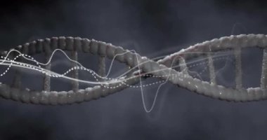 DNA ipliği üzerinde dijital veri işleme animasyonu. Küresel bilim, bağlantılar, hesaplama ve veri işleme kavramı dijital olarak oluşturulmuş video.