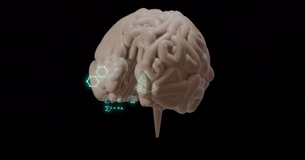 ブラックバック上の脳に対する数学的方程式と要素のアニメーション デジタルインターフェース コミュニケーション デジタル生成されたビデオ — ストック動画