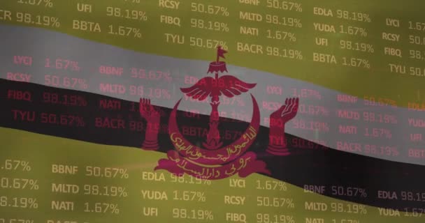 Animering Brunei Flagga Över Finansiell Databehandling Nationalekonomi Anslutning Finans Digitalt — Stockvideo