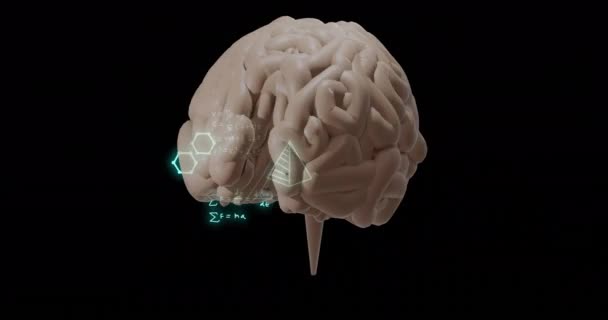 ブラックバックの脳の上の数学の方程式と科学のアイコンのアニメーション デジタルインターフェース コミュニケーション デジタル生成されたビデオ — ストック動画