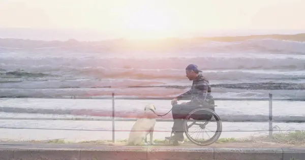 Image of sea landscape over disabled cuacasian man sitting in wheelchair with his dog. International day of persons with disabilities concept digitally generated image.
