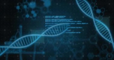 Siyah arka plandaki DNA iplikçiklerinin üzerinde veri işleme animasyonu. Küresel bilim, bağlantılar, hesaplama ve veri işleme kavramı dijital olarak oluşturulmuş video.