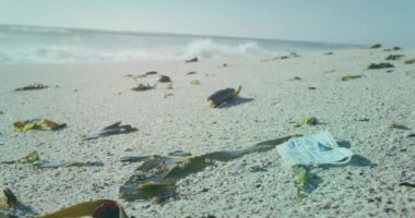 Okyanuslarımızı kurtarma animasyonu sahildeki çöplerin üzerinden yunuslarla mesajlaşıyor. Doğa, geri dönüşüm, ekoloji, atık ve çevre bilinci, dijital olarak üretilen video.