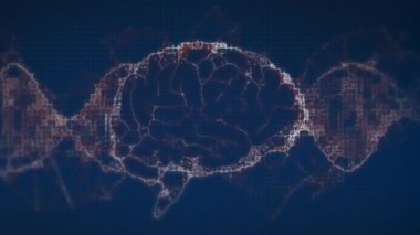 Siyah arka planda hareket eden insan beyni ve DNA iplikçiklerinin animasyonu. Bilim, renk, şekil, ışık ve hareket konsepti dijital olarak oluşturulmuş video.
