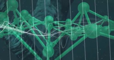 DNA ipliği üzerinde dijital veri işleme animasyonu. Küresel bilim, bağlantılar, hesaplama ve veri işleme kavramı dijital olarak oluşturulmuş video.
