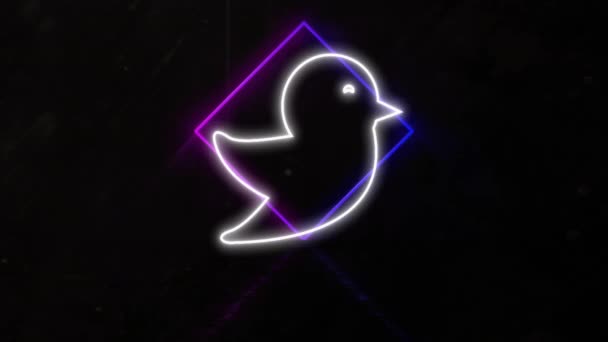 Animation White Twitter Bird Symbol Blue Pink Neon Diamond Shapes — Stock Video