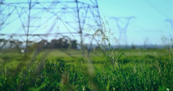 Animation Von Gewächshausanlagen Über Strommasten Der Landschaft Ökologie Energie Erneuerbare — Stockvideo