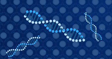 Mavi arka planda mavi hücrelerin üzerindeki DNA görüntüsü. İnsan biyolojisi, anatomi ve vücut konsepti dijital olarak oluşturulmuş görüntü.