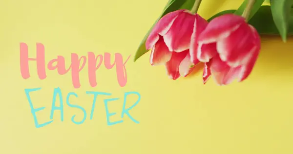 Imagen Feliz Pascua Tulipanes Sobre Fondo Amarillo Pascua Primavera Tradición —  Fotos de Stock