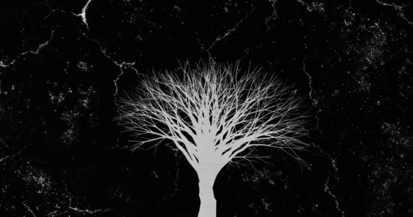 白い稲妻の画像は黒い背景に白い木の上に点滅する エネルギー パワー モノクロ抽象背景コンセプトデジタル生成された画像 — ストック写真