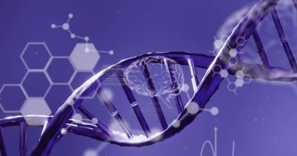 Medical Data Processing Dna Structure Spinning Blue Background Medical Research — Stock Photo, Image