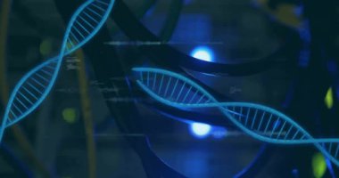 Veri işleme ve sunucu odasındaki DNA iplikçiklerinin animasyonu. Bilim, teknoloji ve dijital arayüz kavramı dijital olarak oluşturulmuş video.