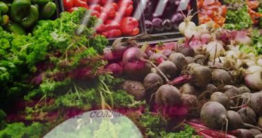 Vitrindeki sebzelerin üzerindeki verileri işleyen çizelgelerin canlandırılması. Bağlantı, yemek, beslenme, sağlıklı yaşam tarzı, dijital arayüz ve iletişim, dijital olarak oluşturulmuş video.