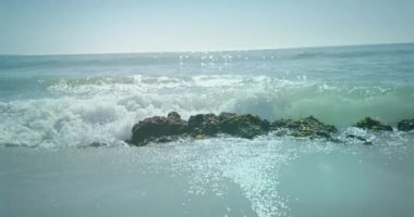 Deniz ve plajda balina ve plastik şişelerle okyanus metnini kurtarma animasyonu. Doğa, ekoloji, atık ve çevresel farkındalık, dijital olarak üretilen video.