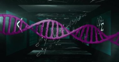 Matematiksel denklemler üzerinde DNA iplikçiklerinin animasyonu. Bilim, teknoloji ve dijital arayüz kavramı dijital olarak oluşturulmuş video.