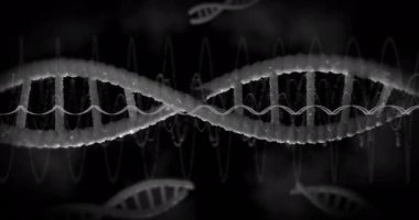 DNA iplikçiklerinin üzerindeki diyagramların animasyonu. Teknoloji, bilim ve dijital arayüz kavramı dijital olarak oluşturulmuş video.