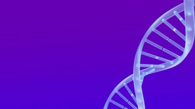 Mavi zemin üzerinde kopyalama alanı olan DNA iplikçiklerinin animasyonu. Teknoloji, bilim ve dijital arayüz kavramı dijital olarak oluşturulmuş video.
