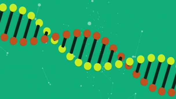 Animation Dna Strand Network Connections Green Background Shapes Light Movement — Stock Video