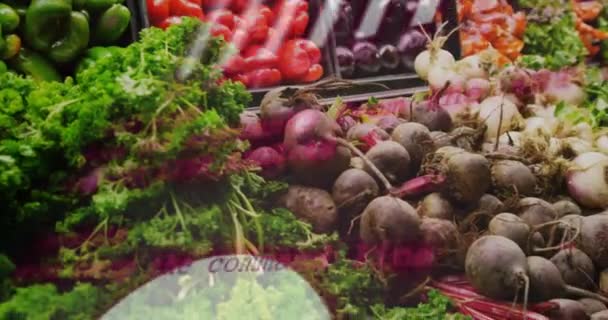 Анимация Графиков Обработки Данных Над Овощами Витрине Магазина Коннект Еда — стоковое видео