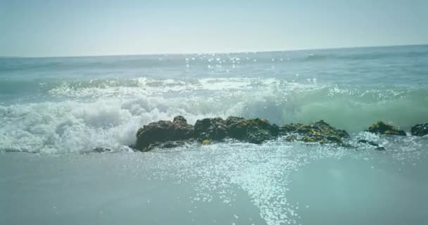 Анимация Сохранения Океанского Текста Китом Пластиковыми Бутылками Над Морем Пляжем — стоковое видео