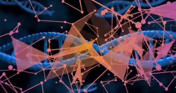 Dna Iplikçiklerinin Üzerindeki Bağlantı Ağının Animasyonu Bilim Şekiller Dijital Arayüz — Stok video