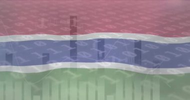 Grafikteki veri işleme üzerine gama bayrağının animasyonu. Ulusal, iş, bağlantı, veri, ekonomi, dijital arayüz ve iletişim, dijital olarak oluşturulmuş video.