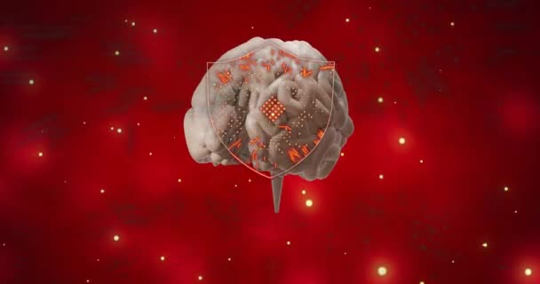 电路板在人脑上的动画在红色背景下旋转 全球人工智能 计算和数据处理概念 — 图库视频影像